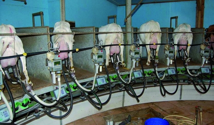 Lactocorder caprin utilisé lors du contrôle laitier
