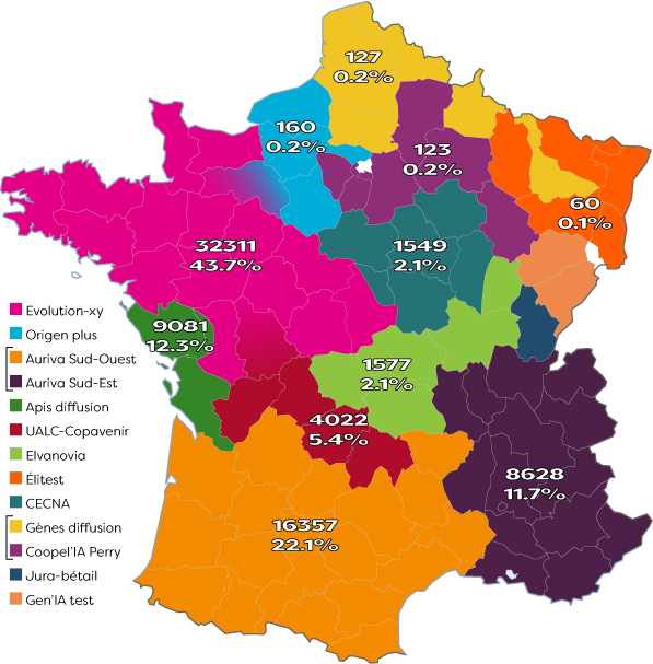 Répartition de l’activité IA en France en 2016